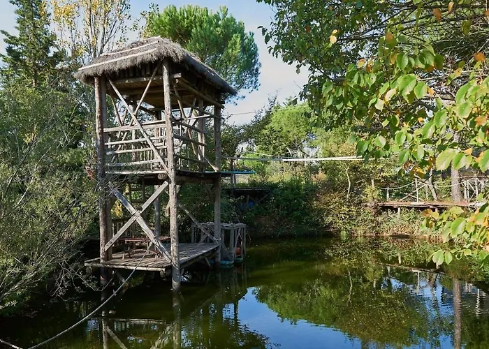 公寓 Tirisondola - La Capanna 基乌斯迪诺