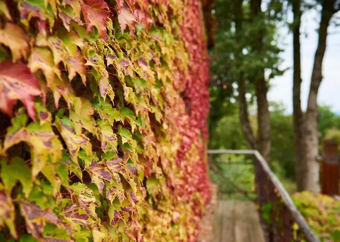 Tirisondola - La Capanna